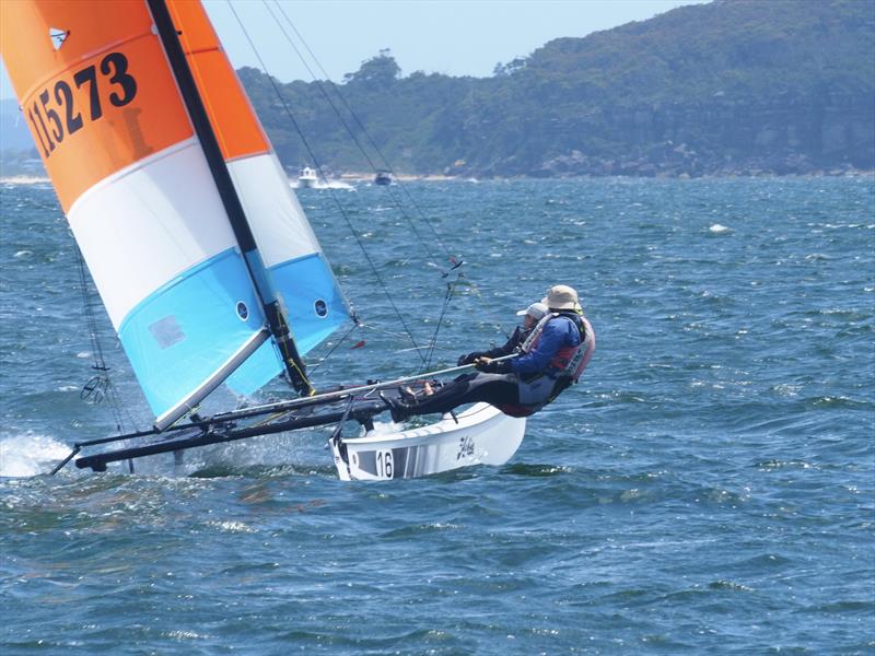 Palm Beach Sailing Club's annual 'Beware The Bullets' Regatta - Lachy & Sharyn, on the cook photo copyright Dick Clarke taken at Palm Beach Sailing Club, Sydney and featuring the Hobie 16 class