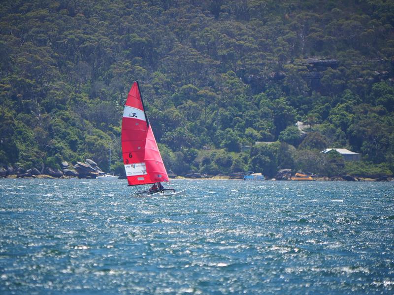 Palm Beach Sailing Club's annual 'Beware The Bullets' Regatta - our future: Jimmy & Brody photo copyright Dick Clarke taken at Palm Beach Sailing Club, Sydney and featuring the Hobie 16 class