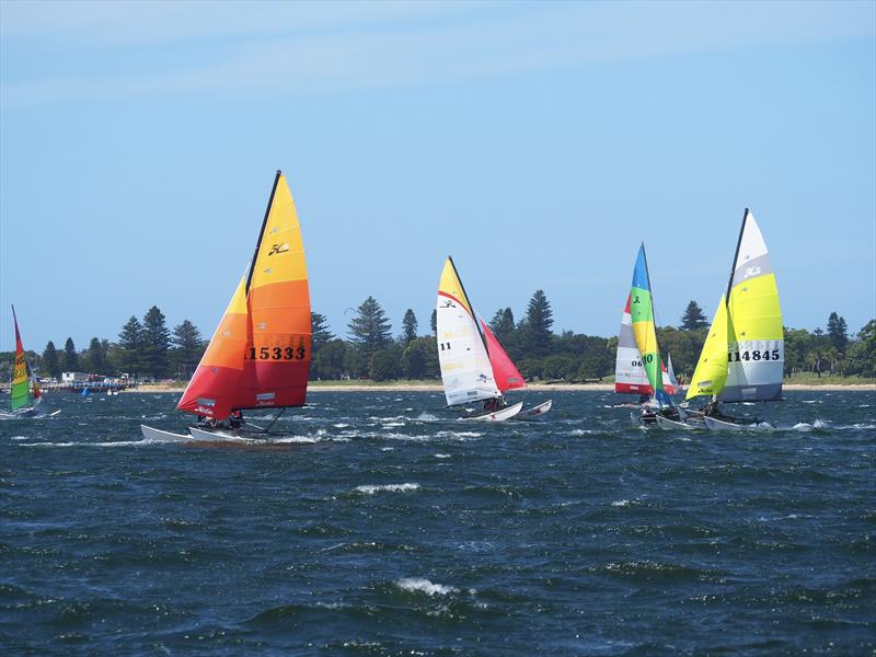 Palm Beach Sailing Club's annual 'Beware The Bullets' Regatta - Munyunga, Mak 2, Norbet & SliggaBeggas Back, all on the downhill run - photo © Dick Clarke