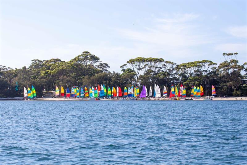 50th Australian Hobie Cat Nationals at Jervis Bay, NSW photo copyright Brad Sissins / Hobie Asia Pacific taken at Vincentia Sailing Club and featuring the Hobie 16 class