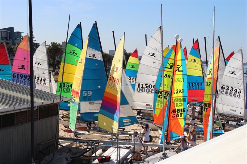 Victorian Hobie State Championships 2023 photo copyright Mads Gillard taken at Port Melbourne Yacht Club and featuring the Hobie 16 class