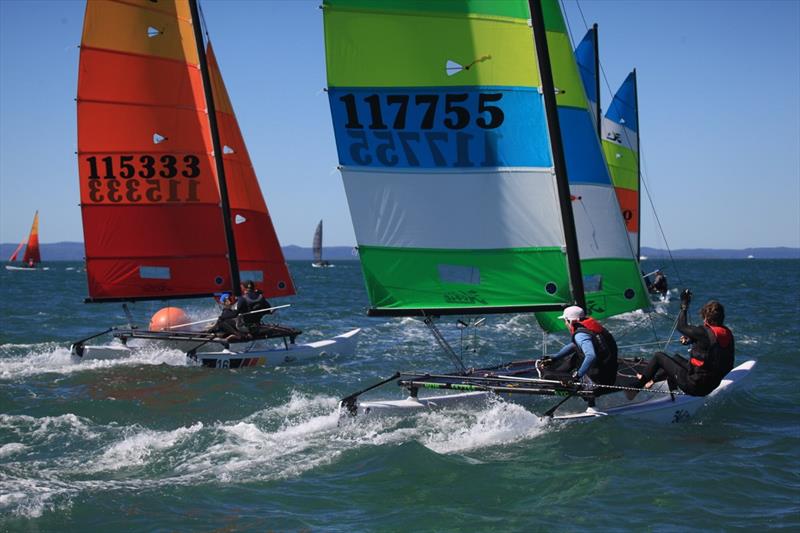 Queensland Hobie Cat State Championships photo copyright Spikey Mike taken at Royal Queensland Yacht Squadron and featuring the Hobie 16 class