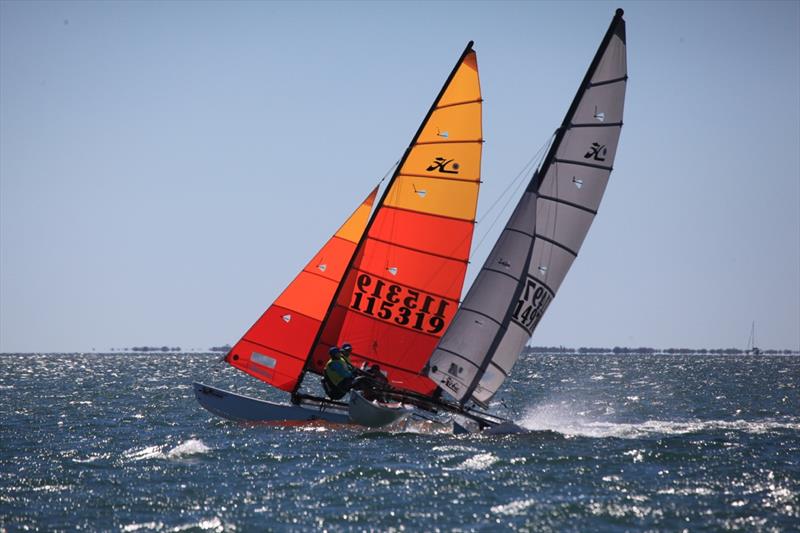 Queensland Hobie Cat State Championships photo copyright Spikey Mike taken at Royal Queensland Yacht Squadron and featuring the Hobie 16 class