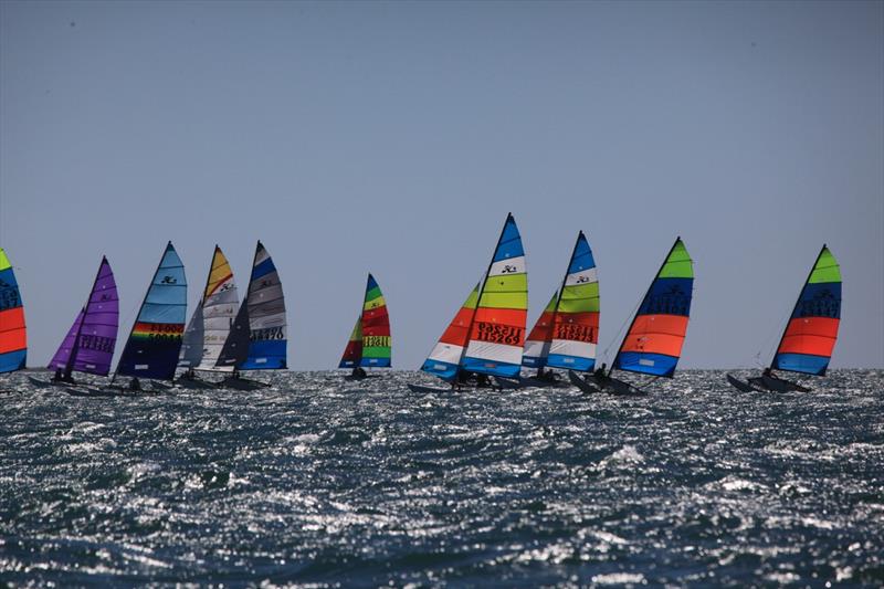 Queensland Hobie Cat State Championships - between starts - photo © Spikey Mike