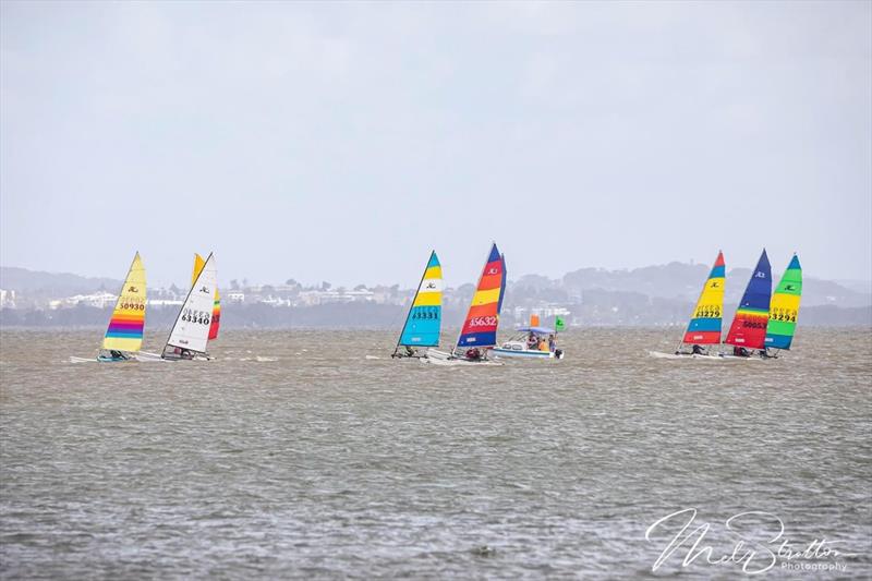 NSW Hobie Cat State Championships 2024 - photo © Alannah Simpson