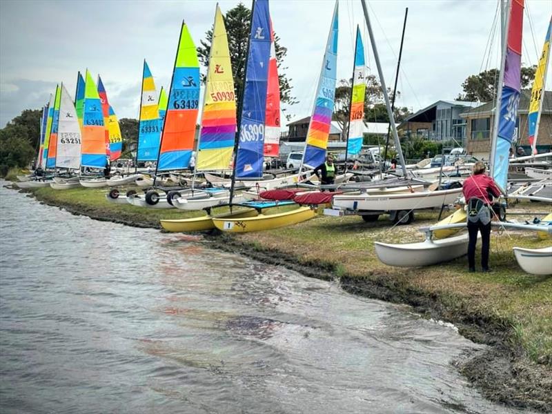 NSW Hobie Cat State Championships 2024 - photo © Alannah Simpson