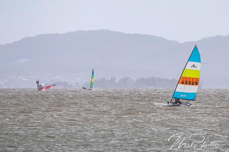 NSW Hobie Cat State Championships 2024 photo copyright Alannah Simpson taken at Toukley Sailing Club and featuring the Hobie 16 class