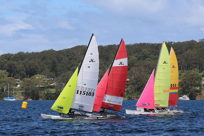 2026 Hobie Cat NSW State Championships at Wangi RSL Amateur Sailing Club - photo © Gavin Luxton