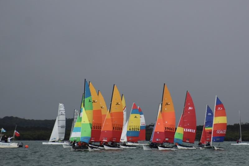 2023-24 NSW Hobie Cat State Championships at the Kurnell Catamaran Club - photo © Alannah Simpson