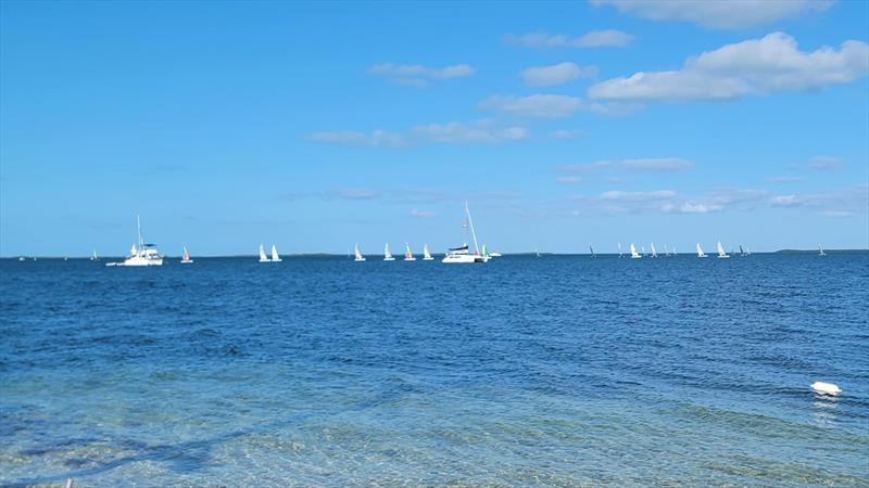 Racecourse action at the FWC Florida Keys Regional Wave Regatta photo copyright Ben Wells/Formula Wave Class taken at Upper Keys Sailing Club and featuring the Hobie Wave class