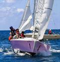 Team Margaritaville, second place finishers, at the 7th Annual USVI Hotel & Tourism Association Regatta &copy; STSC