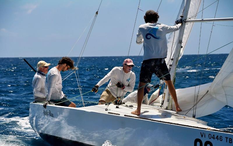 John Foster at the helm of an IC24 in the 2023 STIR photo copyright Dean Barnes taken at St. Thomas Yacht Club and featuring the IC24 class