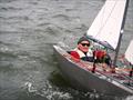 Bembridge Illusion Bailey Bowl 2025
