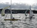Bembridge Illusion Bailey Bowl 2025