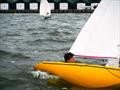 Bembridge Illusion Bailey Bowl 2025