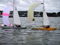 Bembridge Illusion Bailey Bowl 2025