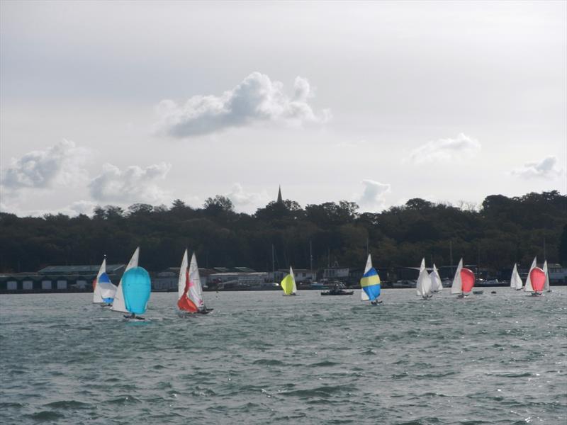 Bembridge Illusion Bill's Barrel 2025  photo copyright Mike Samuelson taken at Bembridge Sailing Club and featuring the Illusion class