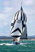 © David Harding / www.sailingscenes.com