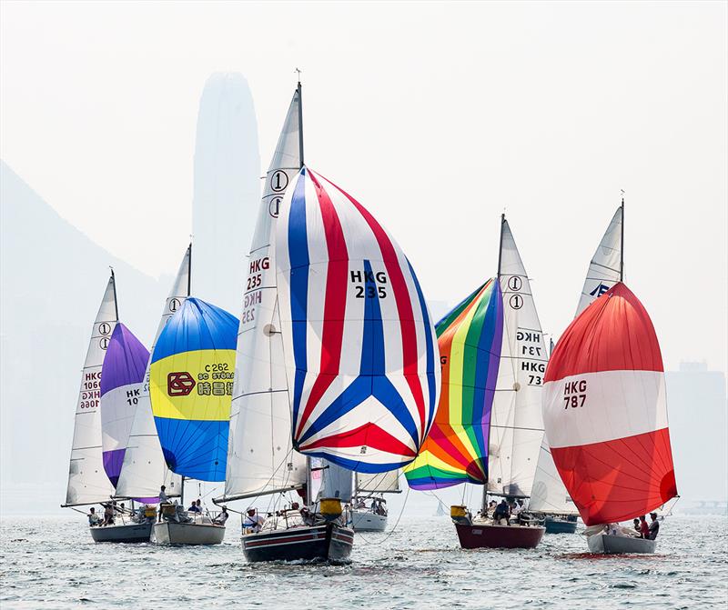 hong kong yacht race