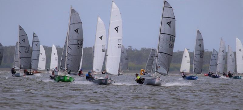 Phil Grey leading the pack - 35th Impulse Australian Championships photo copyright Marina Hobbs taken at Lake Cootharaba Sailing Club and featuring the Impulse class