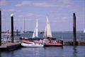 UF50 Celebration in Cowes © Simon Terry