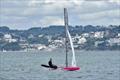 Sam Barker - International Canoe Europa Cup and British National Championships at Brixham