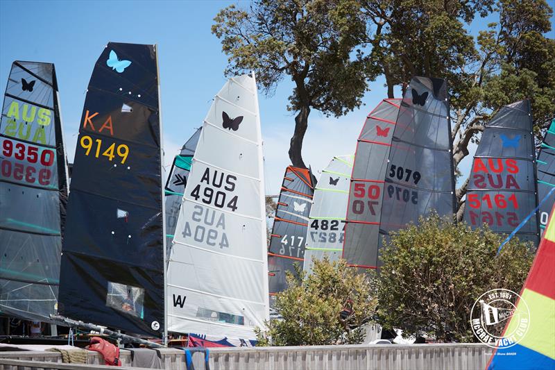 2026 Australian International Moth Open National Championships Day 2 photo copyright Shane Baker taken at McCrae Yacht Club and featuring the International Moth class