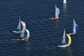 International One Design World Championship at Northeast Harbor, Maine © Kip Wing