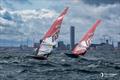 iQFOiL World Championships