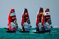 iQFOiL North American Championship &copy; Sailing Energy / iQFOiL International Class