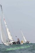 Action from the Lilliput Regatta © David Harding / www.sailingscenes.com