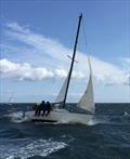 Pintail happy despite the wind in the inaugural Northumberland Plate Race © Glen Hogg