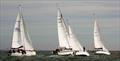 Club class at the Portsmouth Regatta 2016 © Russell Peace