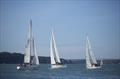 Sailing at the Milford Marina Weekend Regatta © Adrian Owens