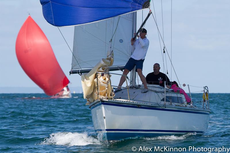 Port Phillip Women's Championship Series - Race 4 - photo © Alex McKinnon Photography