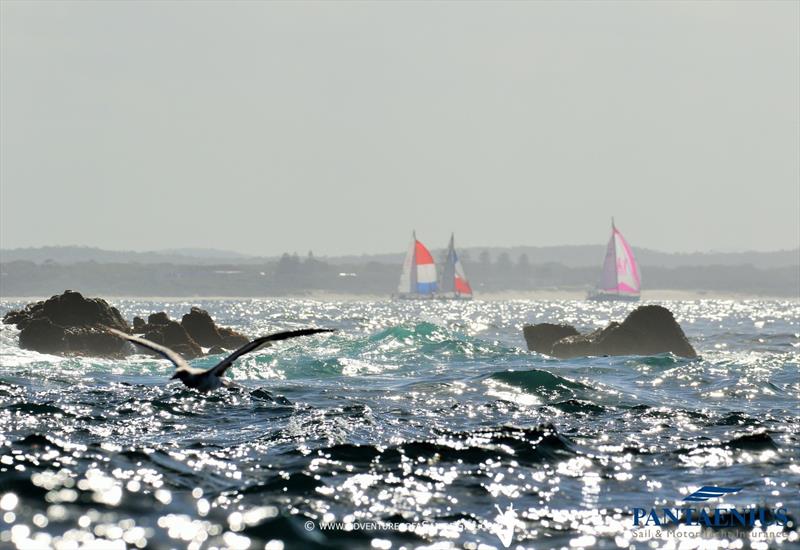 Sail Port Stephens - Day 2 - photo © Nic Douglass / www.AdventuresofaSailorGirl.com