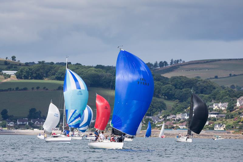 Kieran Collins Olson 30 Coracle IV (Royal Cork YC) leads the fleet under spinnaker on day 1 of Volvo Cork Week photo copyright David Branigan / Oceansport taken at Royal Cork Yacht Club and featuring the IRC class