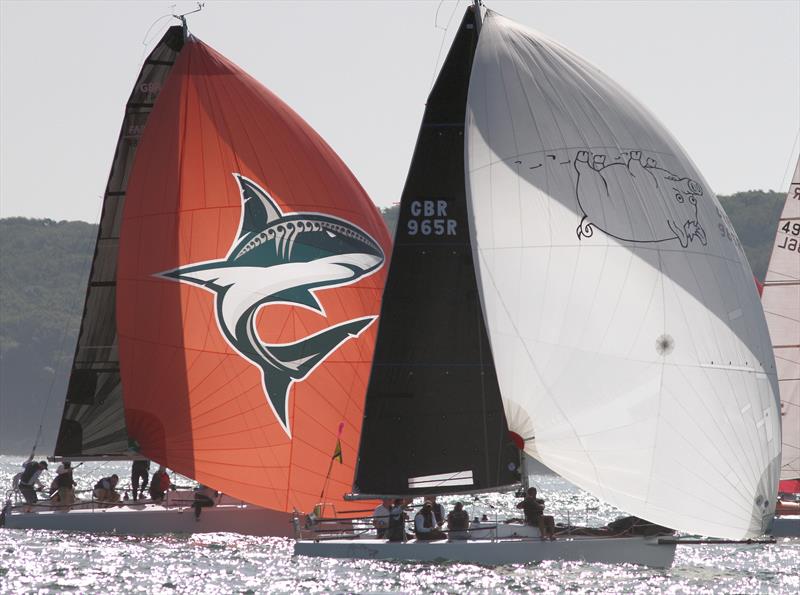 The view from Hurst Castle during the Round the Island Race 2019 - photo © Mark Jardine