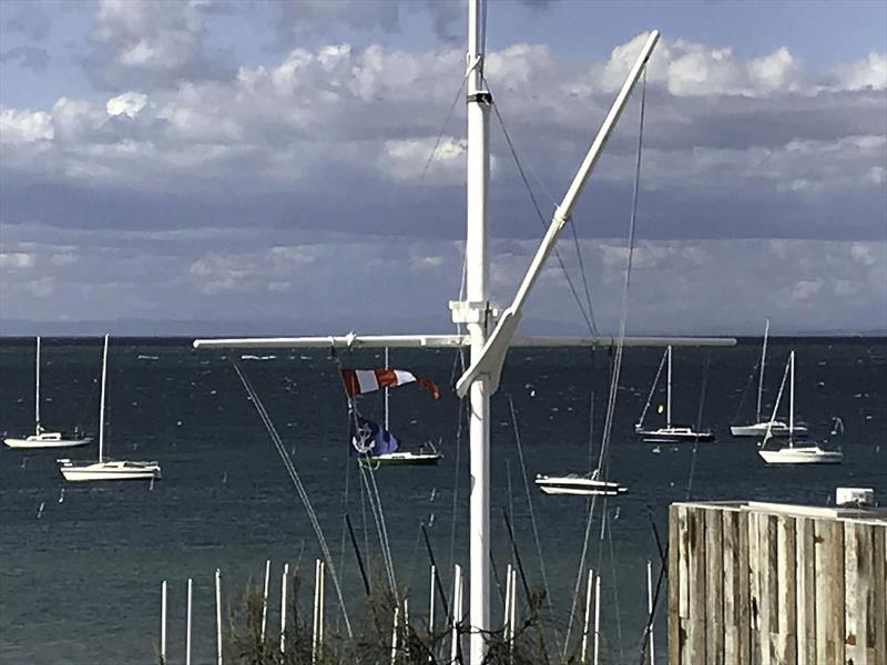 Don't let the blue sky fool you - blowing dogs off chains ahead of third Melbourne to Osaka start. - photo © Alex McKinnon Photography