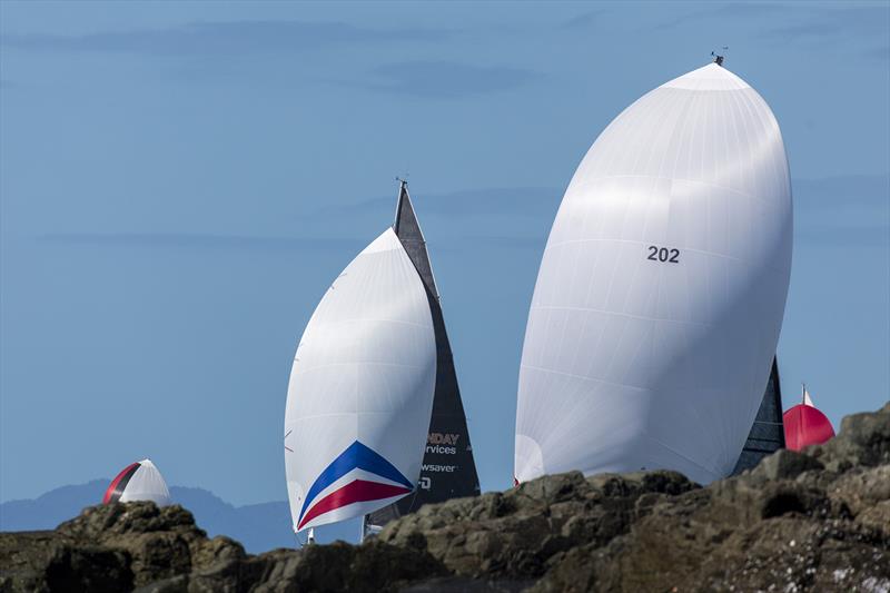 Reignition with the big muscular kite - 2018 Airlie Beach Race Week photo copyright Andrea Francolini taken at Whitsunday Sailing Club and featuring the IRC class