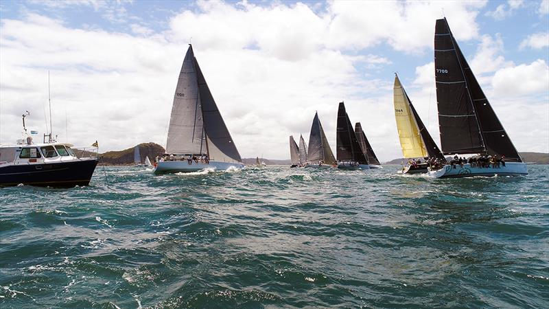 About Time - Pantaenius Newport-Coffs Coast Yacht Race photo copyright Mark Rothfield taken at  and featuring the IRC class