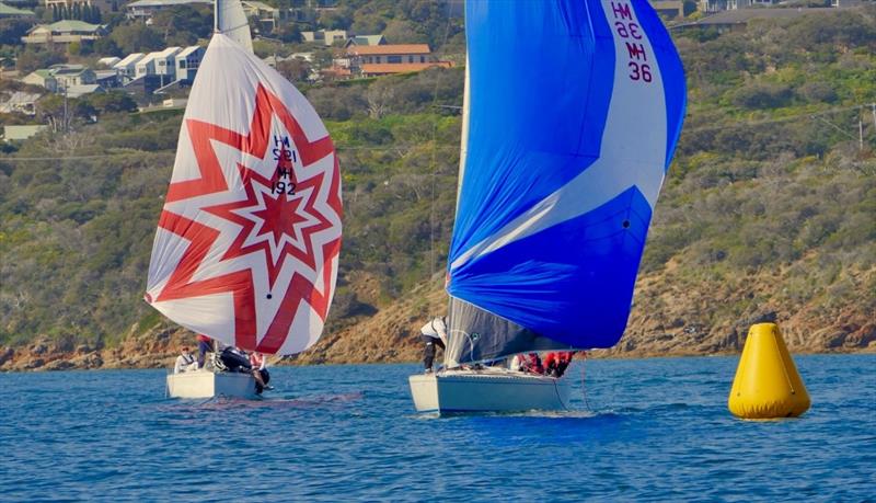 Patrick Delany chasing Geoff Charters to the finish - Waitangi Cup 2019 - photo © Chris Parks