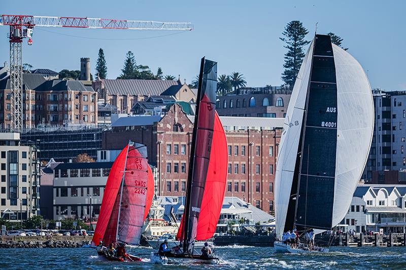 Cock of the Harbour - Newcastle SailFest Regatta - photo © Salty Dingo