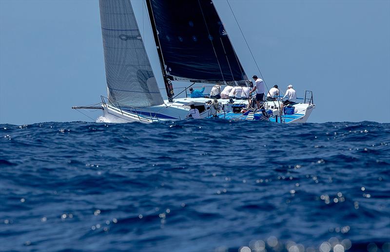 Patrice - 2017 CYCA Trophy Series - Day 1 - photo © Crosbie Lorimer