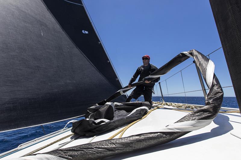 Who said pets weren't allowed on board? This big black snake made it. Not as poisonous as our reptilian friends, but can still bite when mishandled photo copyright Andrea Francolini taken at  and featuring the IRC class