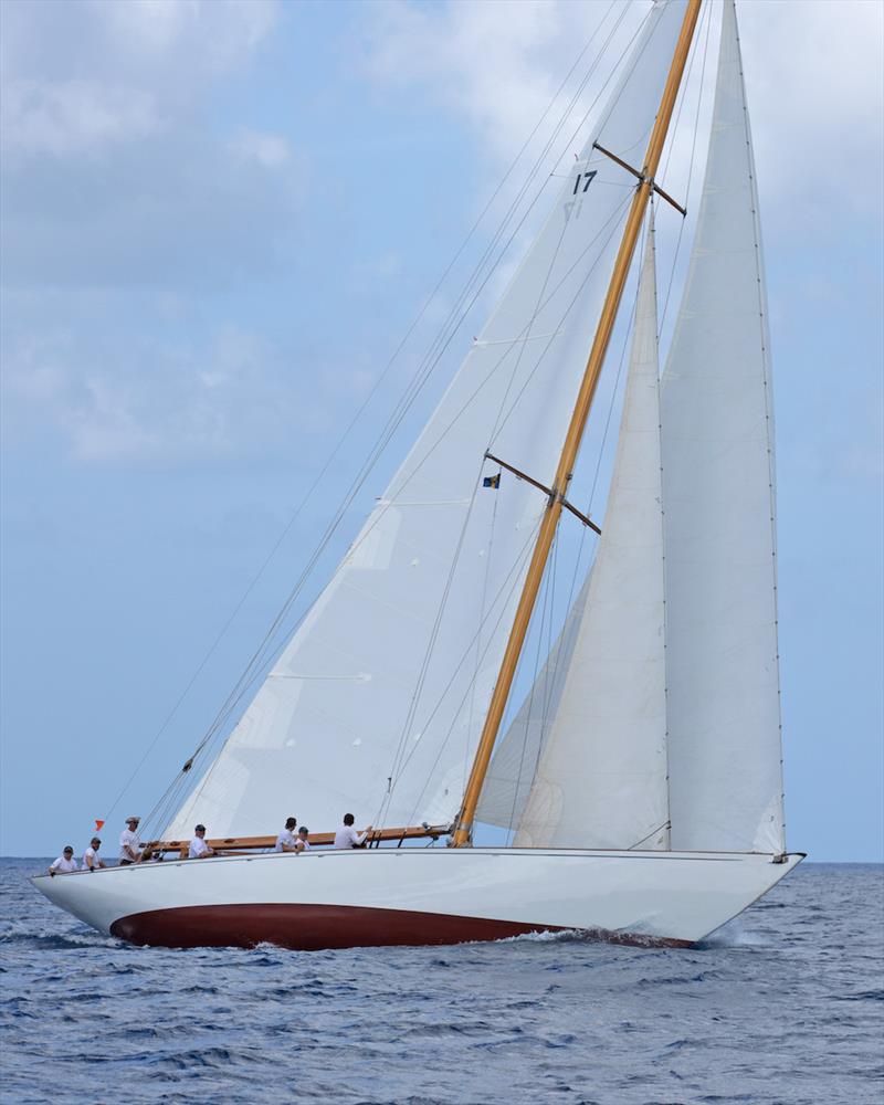 The Blue Peter never fails to turn heads on the racecourse photo copyright Peter Marshall / BSW taken at Barbados Yacht Club and featuring the IRC class