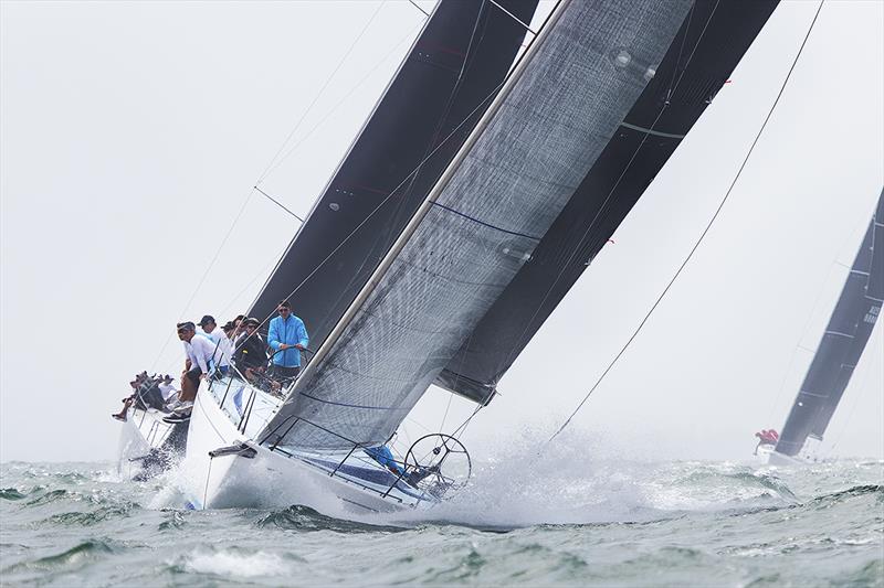 Patrice - 2018 Australian Yachting Championships - photo © Alex MKinnon