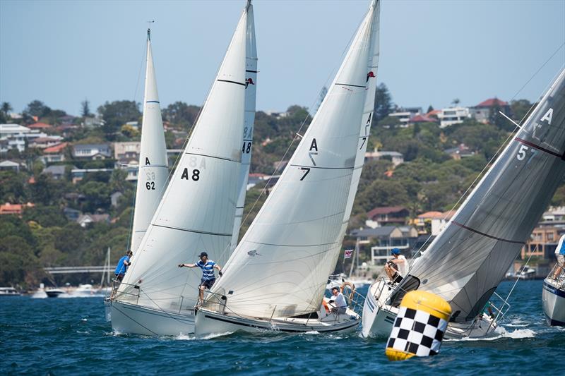 Sydney Harbour Regatta Does it get any better?