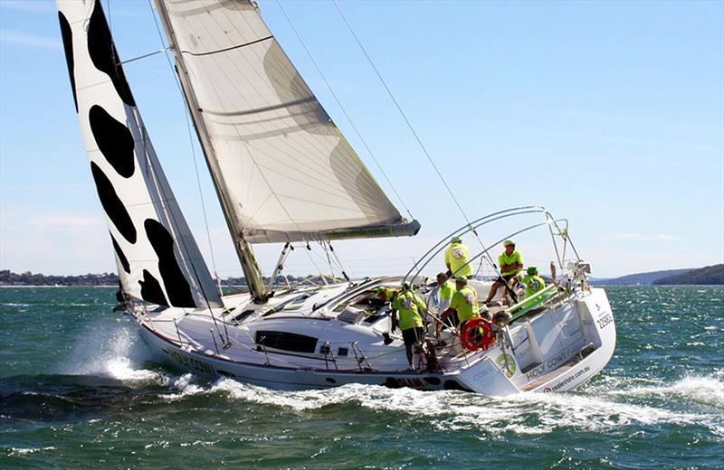 Sail Port Stephens - Holy Cow - photo © Mark Rothfield