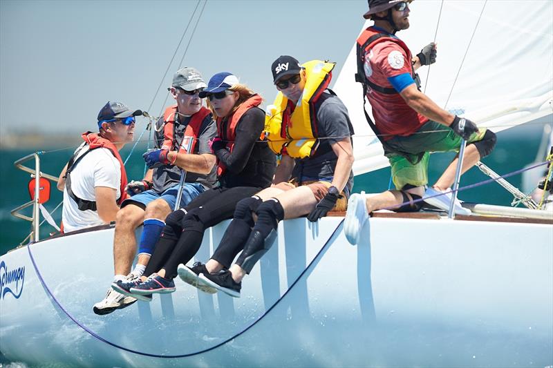 Patricio Sepulveda's Baile De Luna on the race track  - photo © Luis Ferreiro